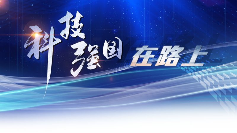 云原生安全策略的性能参数选择误区